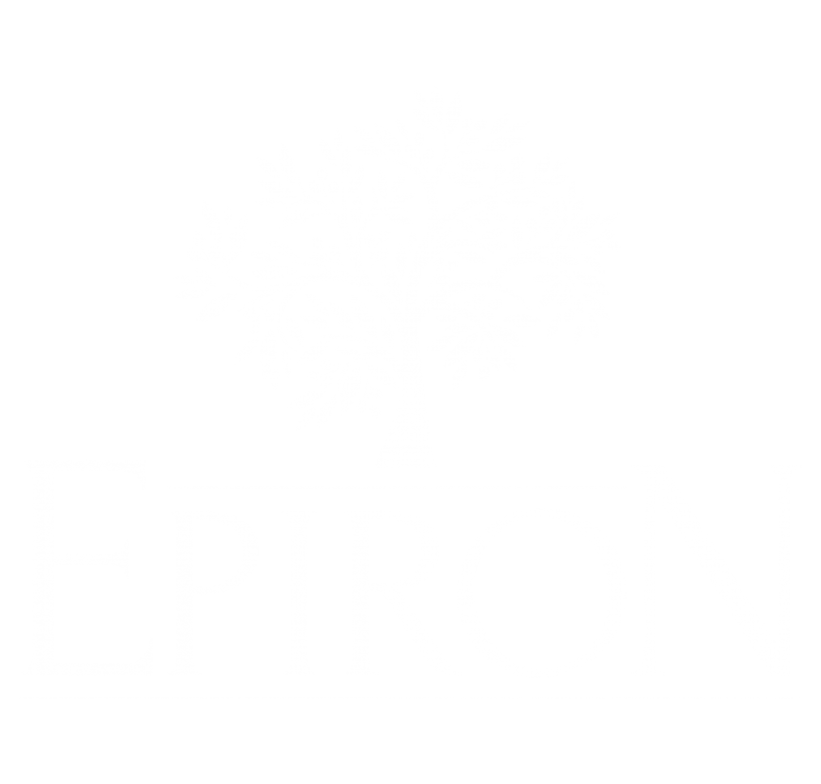 EPIRON | Natives Olivenöl Extra kaufen